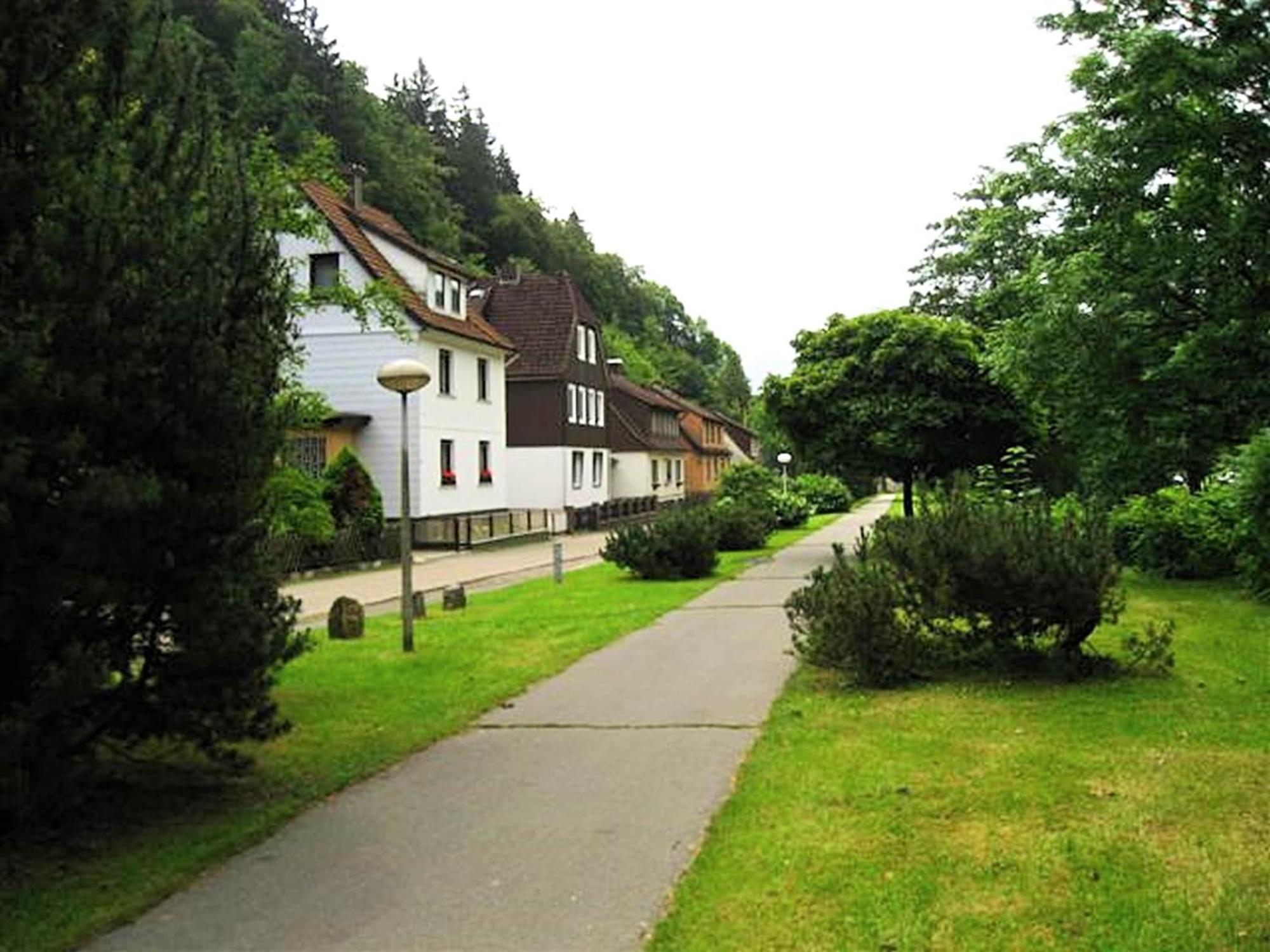 Spacious Group House In The Harz Region Zorge Exteriér fotografie