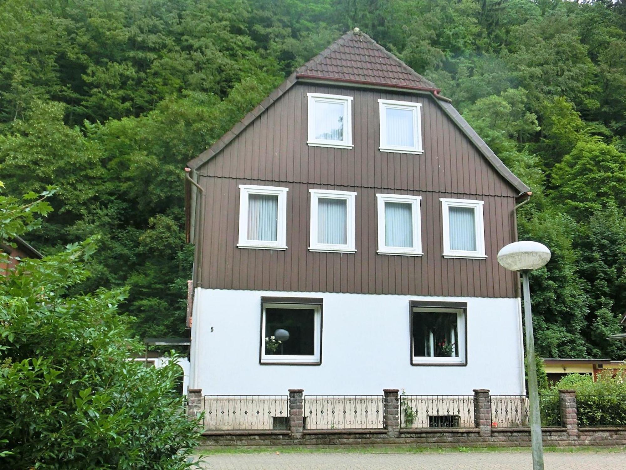 Spacious Group House In The Harz Region Zorge Exteriér fotografie